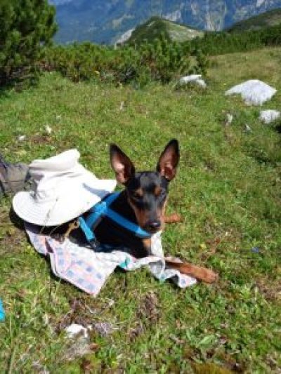 pauli8c1-4128-8a40-df79b3dae05c-225x300