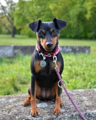 yuma-448C-4C31-BBA1-D453AA4F5409-240x300