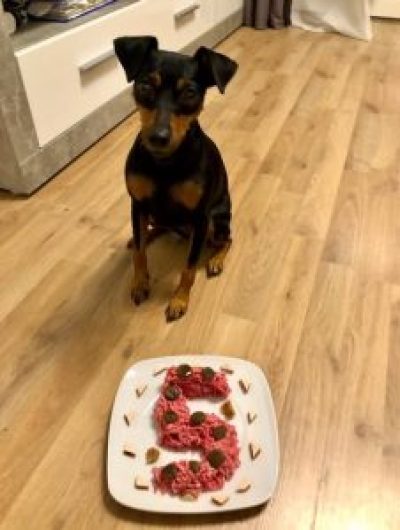 yuma-indian-fire_7947-226x300