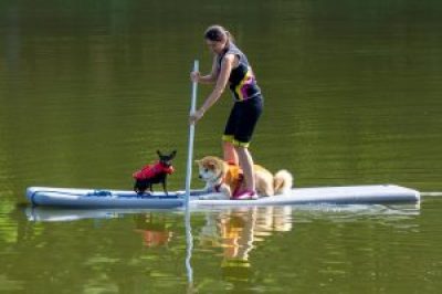 ziva-2021-07-31-20-11-13-300x200