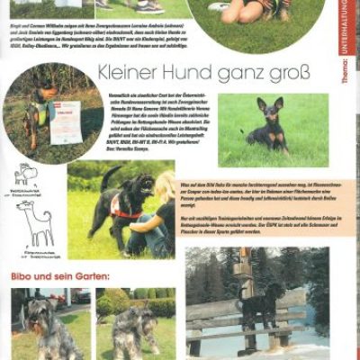 zivan-e1652352980273-370x370