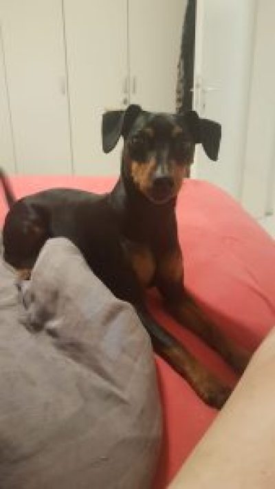 zoe-2021-06-12-21-35-22-1-169x300